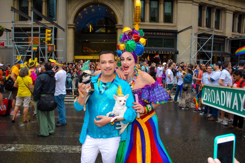 Anthony Rubio with Chihuahuas at the 2015 Pride March in New York City