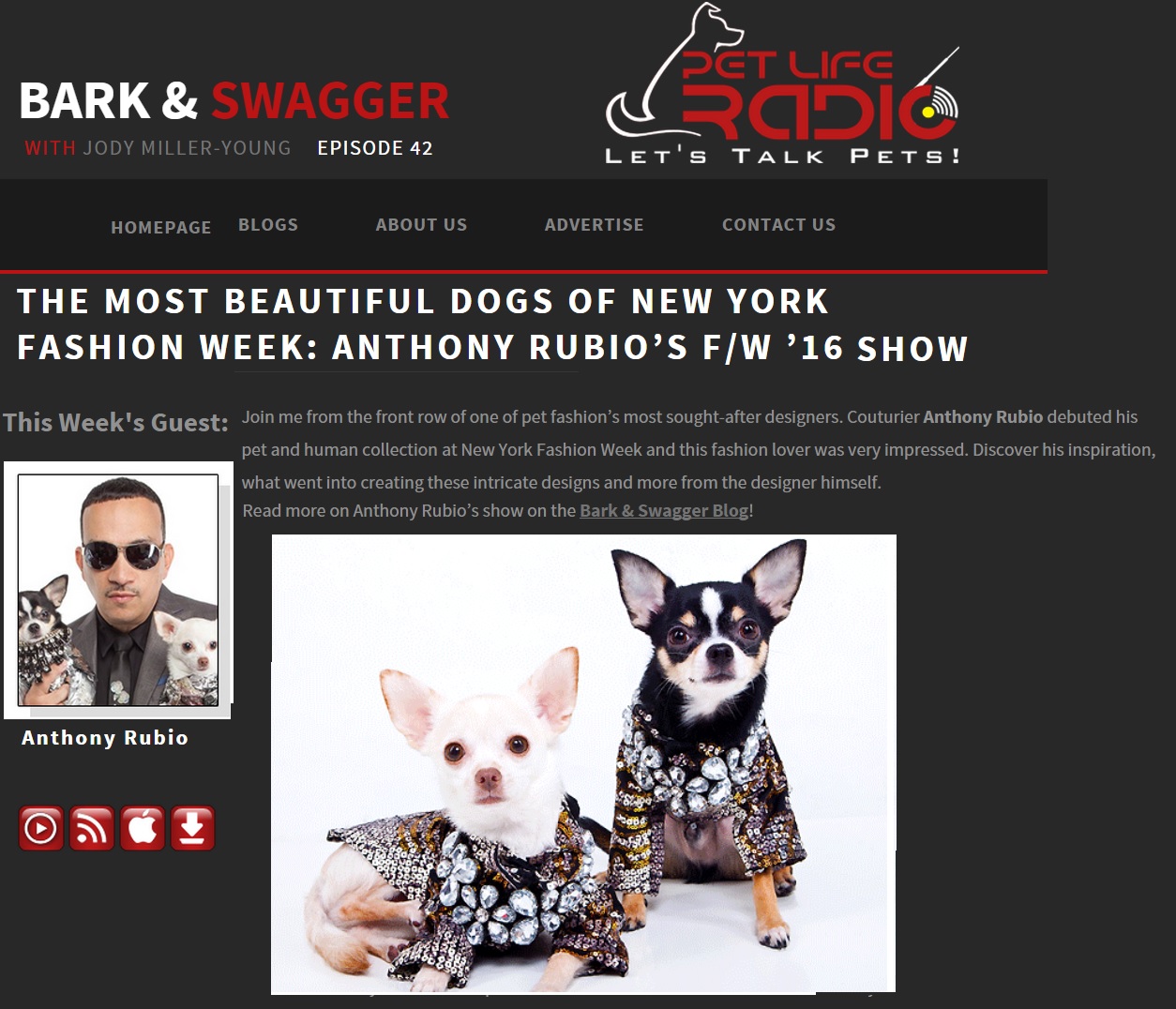 Anthony Rubio's interview on Bark & Swagger Pet Life Radio Show