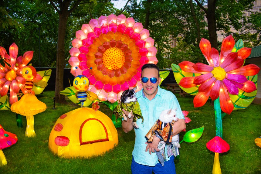 Anthony Rubio with Chihuahua duo Bogie and Kimba visit Philadelphia Chinese Lantern Festival