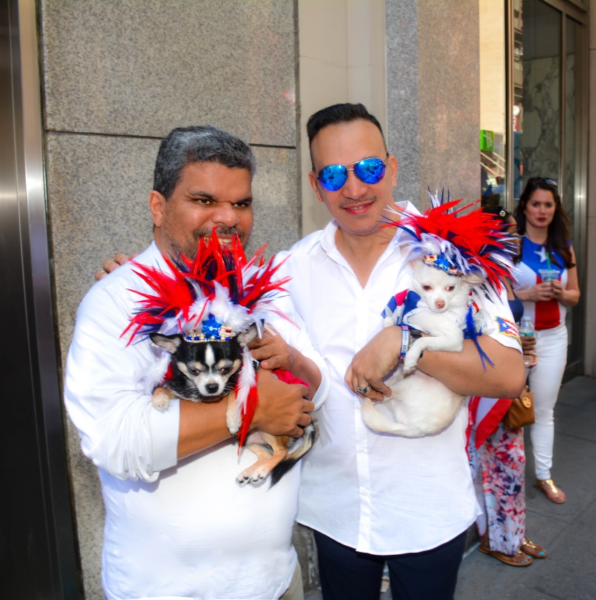 Anthony Rubio and his Chihuahua duo Bogie and Kimba with actor Luis Guzman at the 2016 National Puerto Rican Day Parade