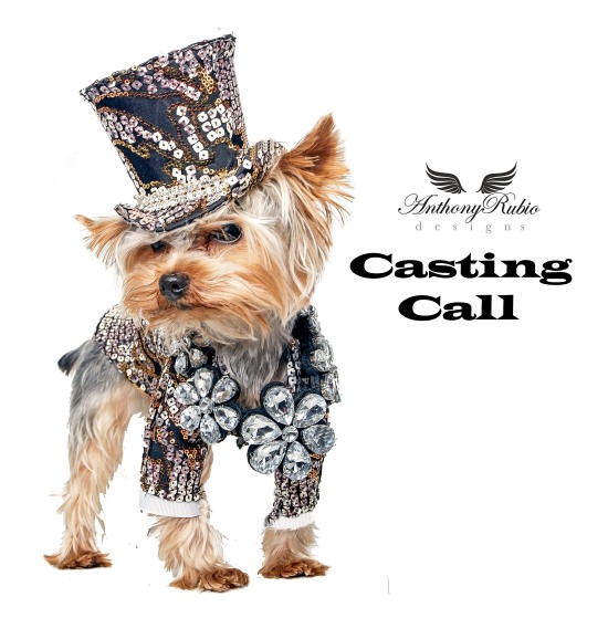 Anthony Rubio's NYFW Canine Casting Call