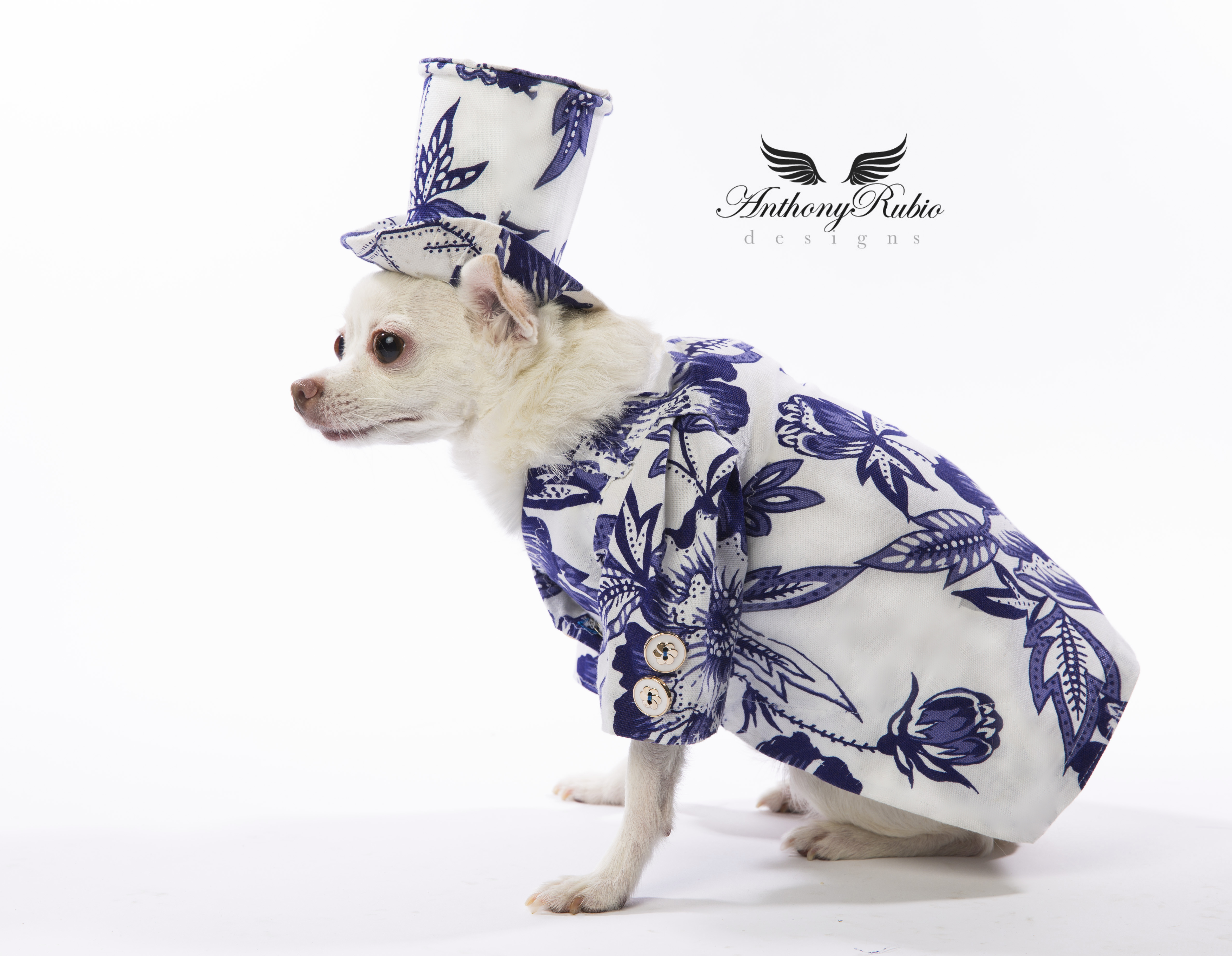 Canine Couture by Anthony Rubio - Resort Wear For Dogs