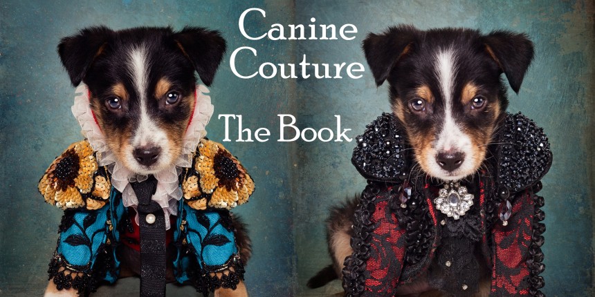 Anthony Rubio "Canine Couture" Coffee Table Book