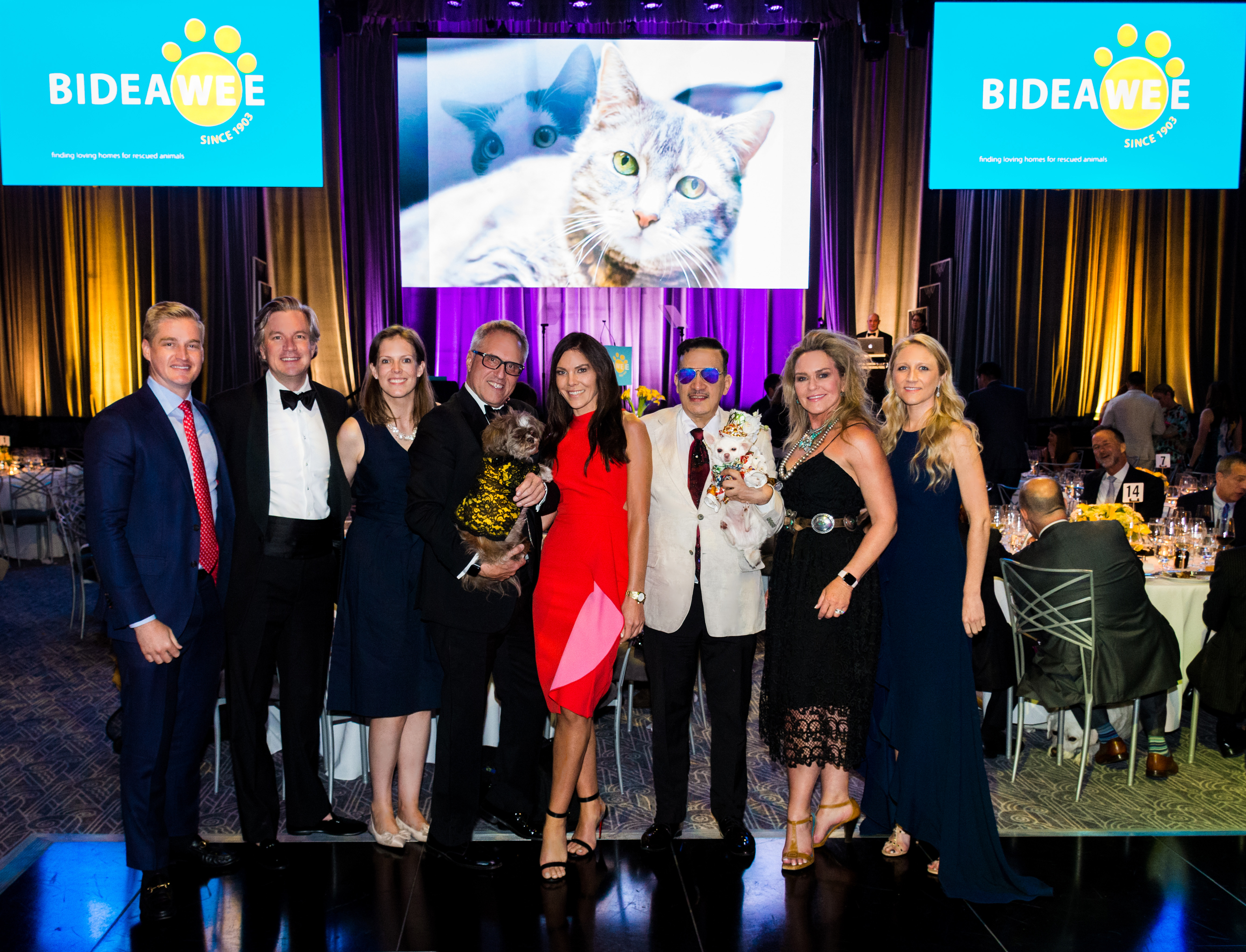 Anthony Rubio with Chihuahua Kimba attends the 2019 Bideawee Ball in New York