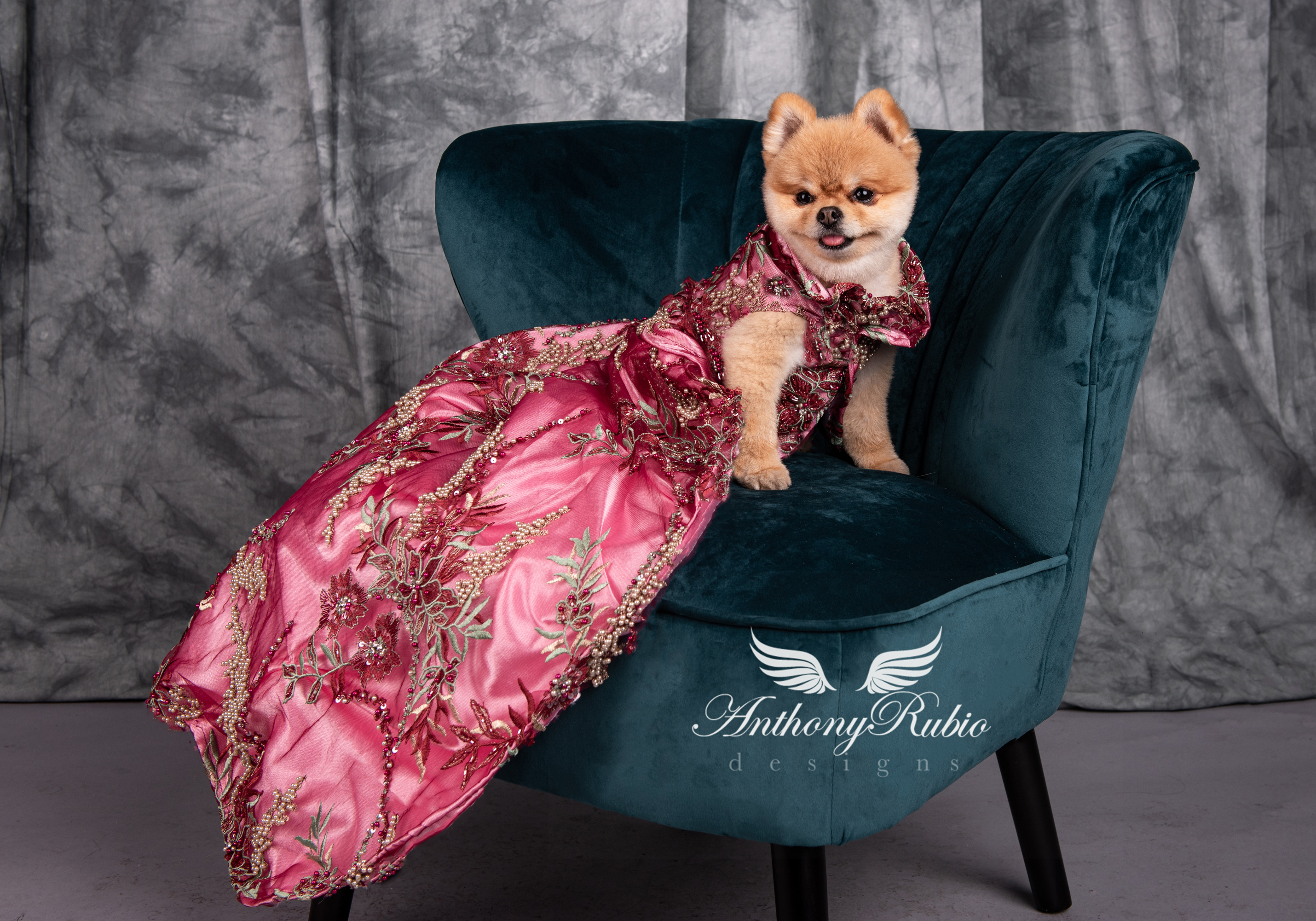 Anthony Rubio, Dog Fashion, Canine Couture, Pet Fashion, 